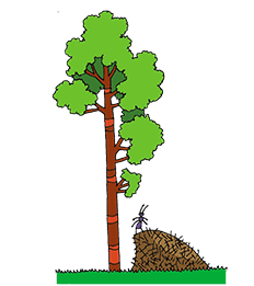 05018b2q-0761-232x261.png