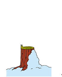 05018b35-4c86-209x261.png