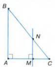 05018b79-a1b4-113x136.jpg