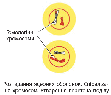 05018ct7-4b51-373x322.png