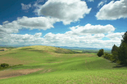 05018ee7-f209-259x171.png