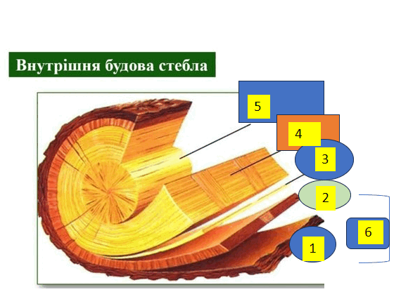 05018izj-c304-597x436.png