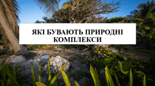 Презентація на тему "Які бувають природні комплекси" 6 кл НУШ