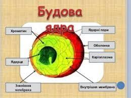 05018lcg-f876-259x194.jpg