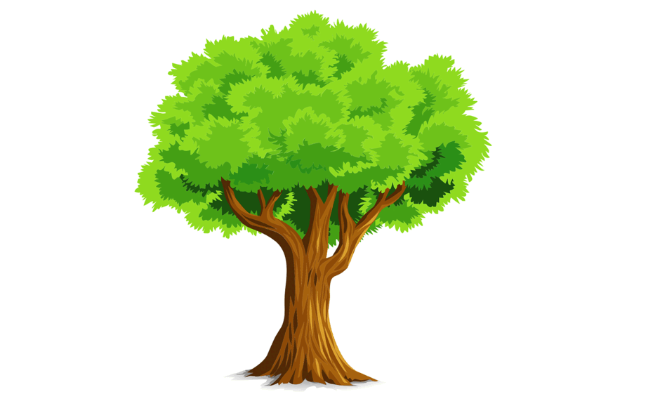 05018lrk-8f82-940x578.png