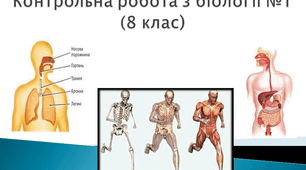 Контрольна робота з біології №1 (8 клас)