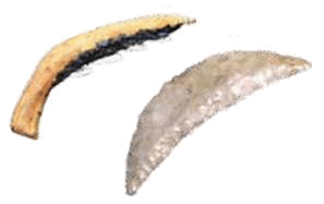 05018so9-5eac-297x187.png