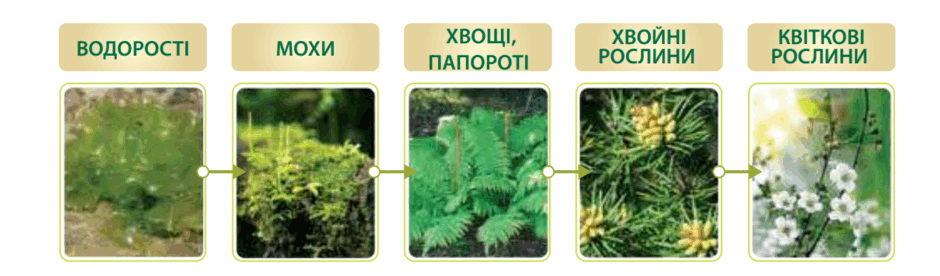 05018wek-1afa-940x276.png