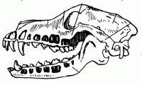 05018xdu-15d6-228x137.png