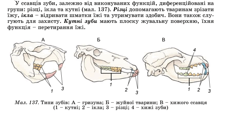 05018xe3-ae50-733x369.png