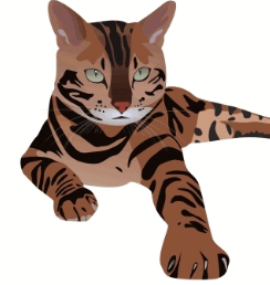 05018xw2-47aa-244x258.png