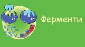 Роль ферментів у метаболізмі