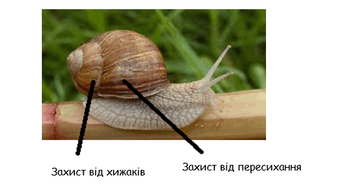 050191ew-5f4e-492x260.png