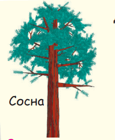 050193gj-9edb-236x287.png