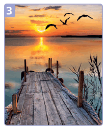 050197aq-13c9-206x248.png