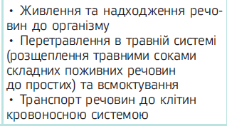 050197l5-f24b-319x177.png