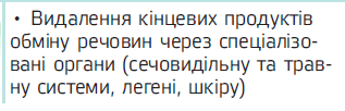 050197l9-0e43-317x102.png