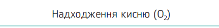 050197m1-c22a-431x56.png