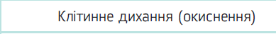 050197mc-8c8a-389x48.png