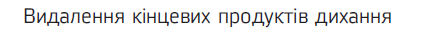 050197md-95c3-421x43.png