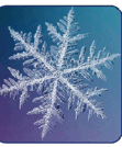050197xr-d295-111x134.png
