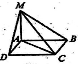 05019as9-e22c-276x225.jpg