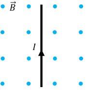 05019b17-b2c3-178x186.jpg