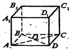 05019bxf-2083-291x214.jpg