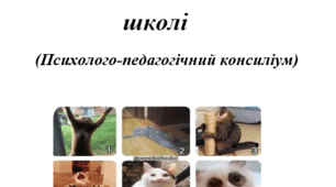 Адаптація десятикласників до умов навчання у старшій школі (Психолого-педагогічний консиліум)