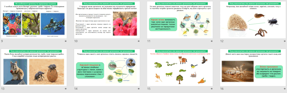 05019dqz-b8a1-940x304.png