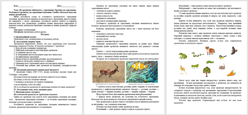 05019dsb-2887-940x439.png