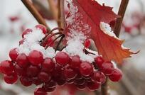 05019eab-6ecb-204x134.jpg