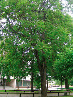 05019eb7-6fb6-249x332.jpg