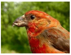 05019f1l-7ee1-229x175.png