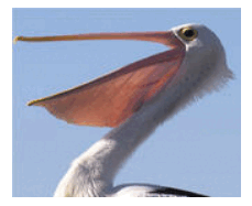 05019f1p-fff3-229x187.png