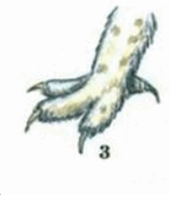 05019f6i-12d7-245x295.png