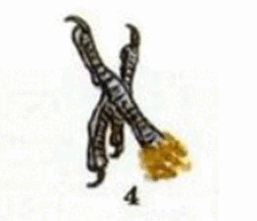 05019f6n-4271-257x221.png