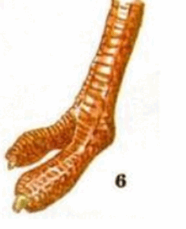 05019f6v-4970-269x331.png