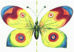 05019hks-7533-144x102.png