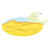 05019k43-110a-163x135.png