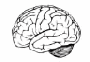 05019k48-d011-186x129.png