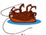 05019k8x-2fd4-149x115.png