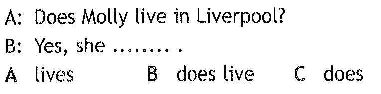 05019l95-2ba2-764x189.png