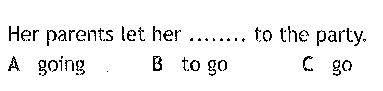 05019leo-6916-752x180.png