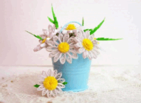 05019lfp-8d94-237x173.png