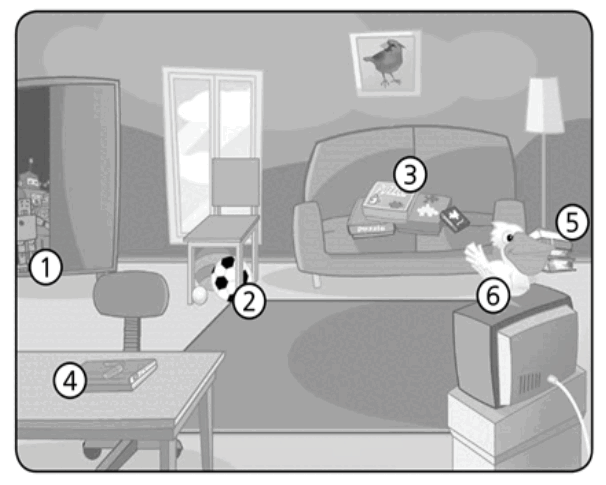 05019lwm-6871-606x485.png