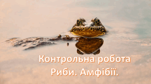 Контрольна робота "Риби. Земноводні".
