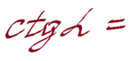 05019npk-7a4c-295x130.png