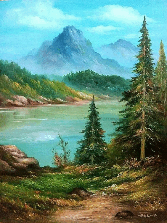 05019nu5-3a78-564x750.png