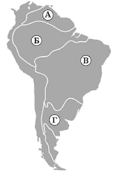 05019omj-2685-378x580.png